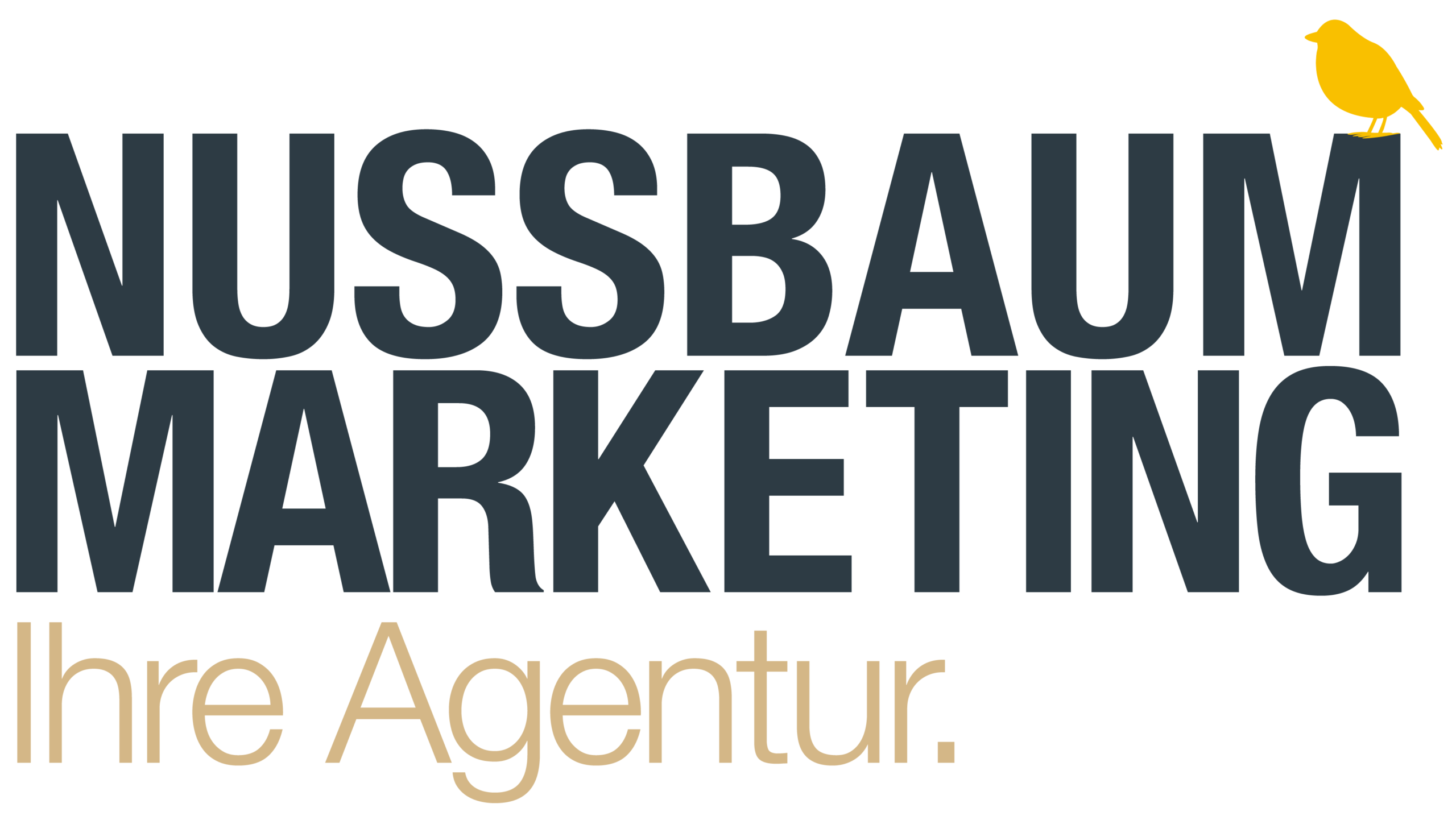 Nussbaum Marketing